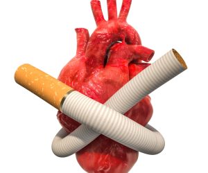 Heart disease from smoking, concept. Cigarette tied in a knot ar Heart disease from smoking, concept. Cigarette tied in a knot around human heart. 3D rendering isolated on white background